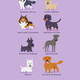 Illustration for article titled Adorable Drawings of Dog Breeds, Grouped By Their Place of Origin